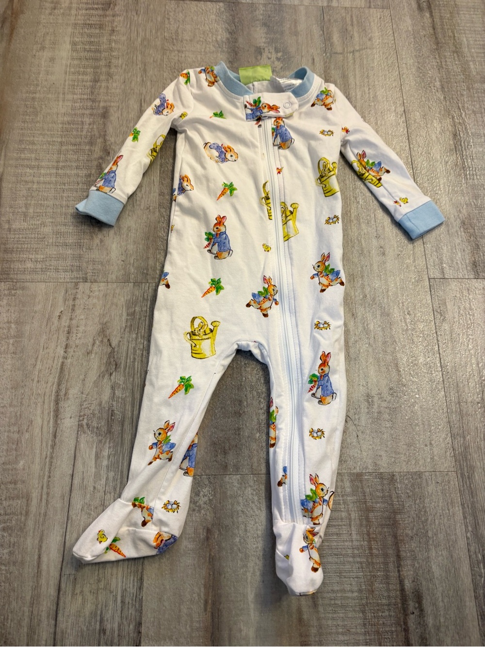 Classic Whimsy Peter Rabbit Easter Pajamas 9m